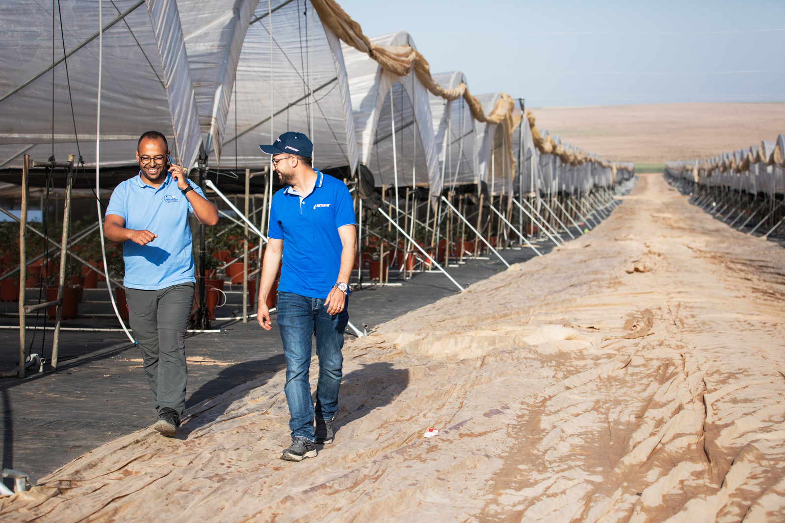 Rentabilisez vos serres avec l'irrigation de précision | Netafim Maroc