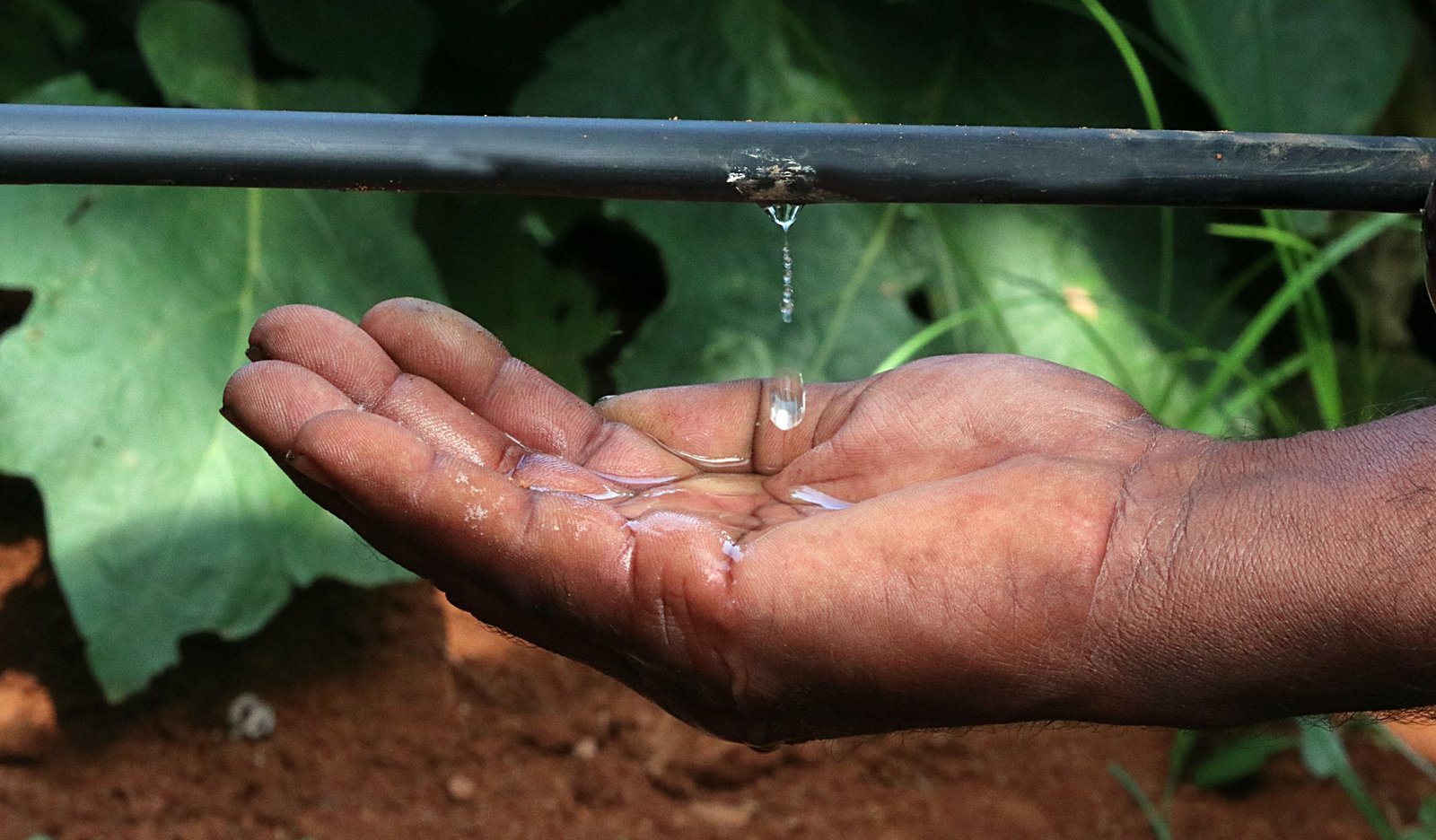 Irrigation durable