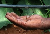 Irrigation durable