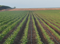 Utilisation efficace de l'eau