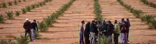  Arboriculture et Viticulture