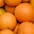 Agrumes
