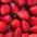 Fraises