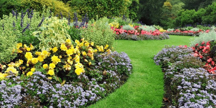 Solutions d'arrosage localisé pour fleurir autrement