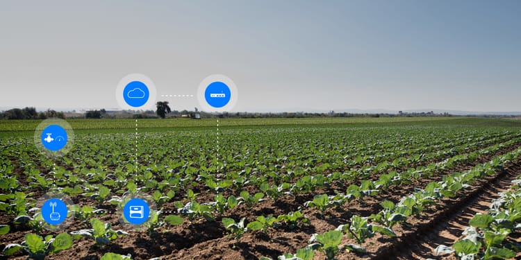 OPTIMISEZ LA PRODUCTIVITÉ DE VOS CULTURES AVEC NETBEAT™