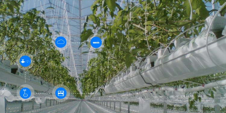OPTIMISEZ LA CROISSANCE DE VOS CULTURES SOUS SERRE AVEC NETBEAT™