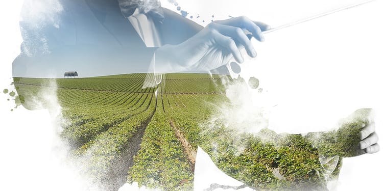 Projets agricoles au Maroc: Partenariats durables