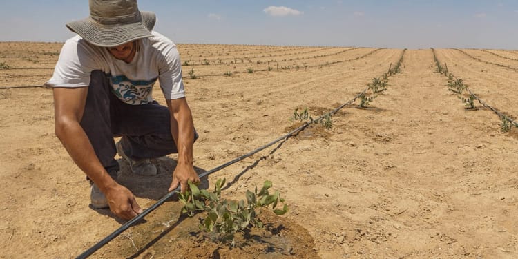 Irrigation de précision : Pouvoir à l'agriculteur