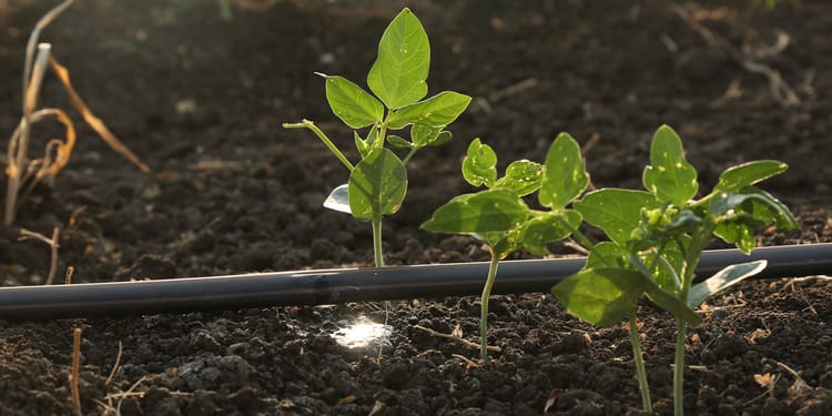 Irrigation durable