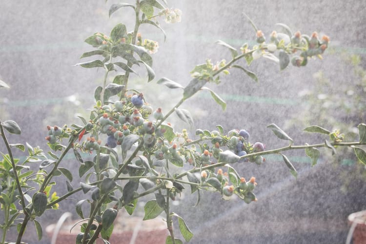 Produits et solutions pour une irrigation de précision