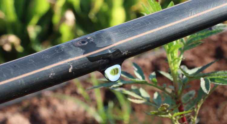 Banner Qualité de l’eau d’irrigation : le levier n°1 pour préserver les performances du goutte-à-goutte