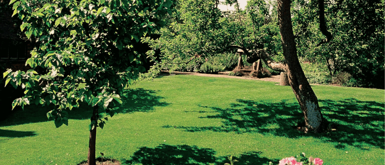 Solutions d'arrosage localisé pour végétaliser durablement