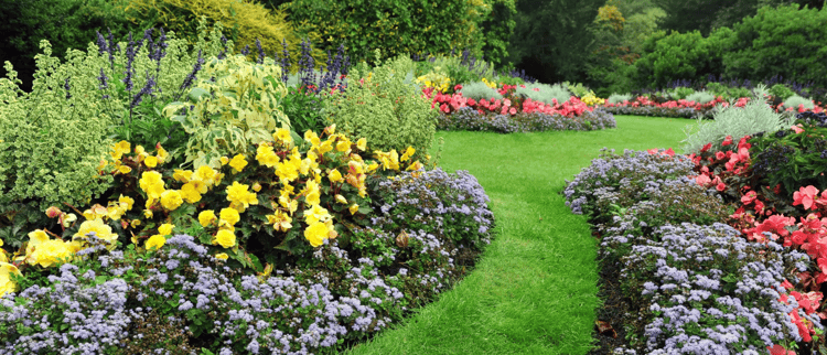 Solutions d'arrosage localisé pour fleurir autrement