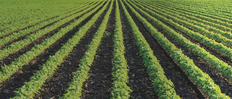 Solutions d'irrigation de précision pour les grandes cultures et le maraîchage