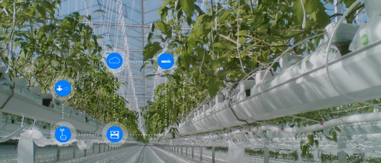 OPTIMISEZ LA CROISSANCE DE VOS CULTURES SOUS SERRE AVEC NETBEAT™