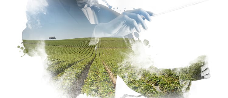 PILOTER LA CROISSANCE DANS LE MONDE ENTIER 