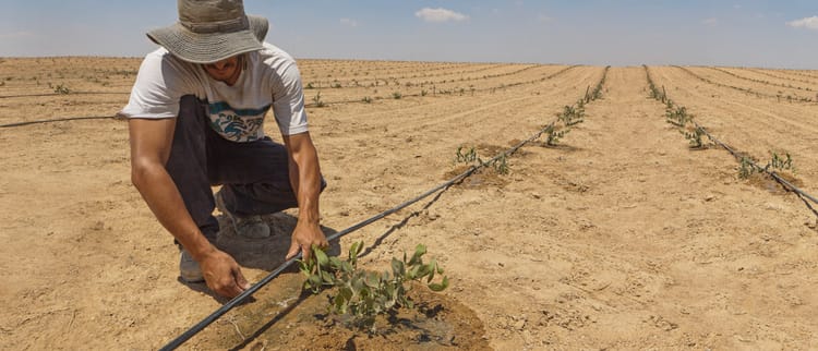 Irrigation de précision : Pouvoir à l'agriculteur