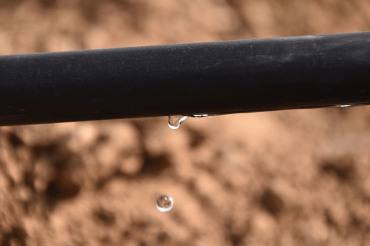 Dripper irrigation