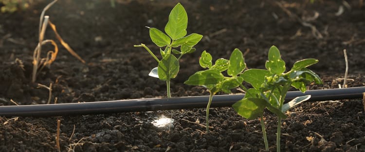 Irrigation durable