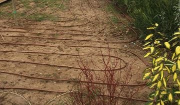 Un exemple réussit de système d’irrigation goutte à goutte enterré sous gazon à partir d’eaux usées
