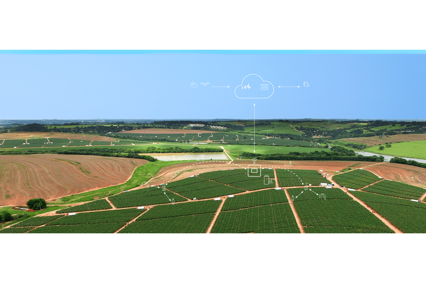 Solutions numériques pour l'agriculture