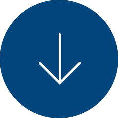 Télécharger la fiche technique