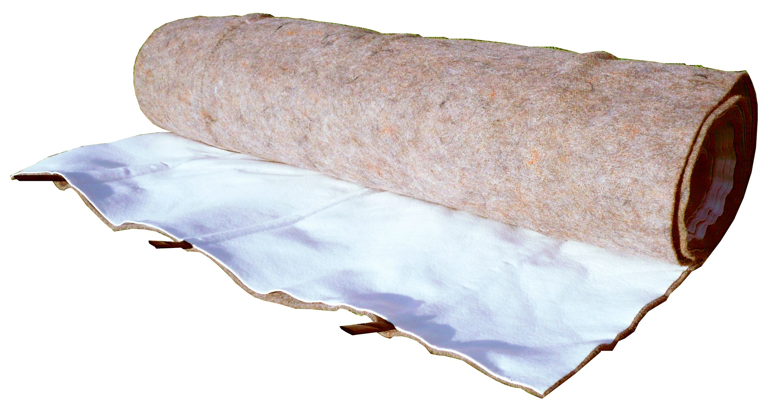 Caractéristiques