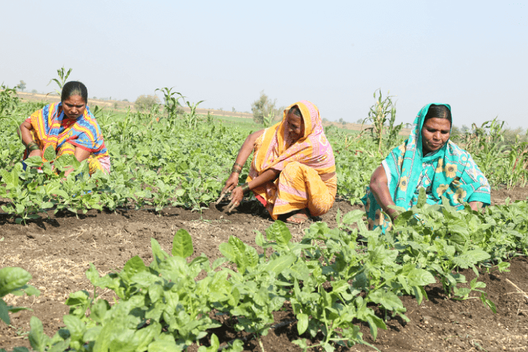 Populations et communautés