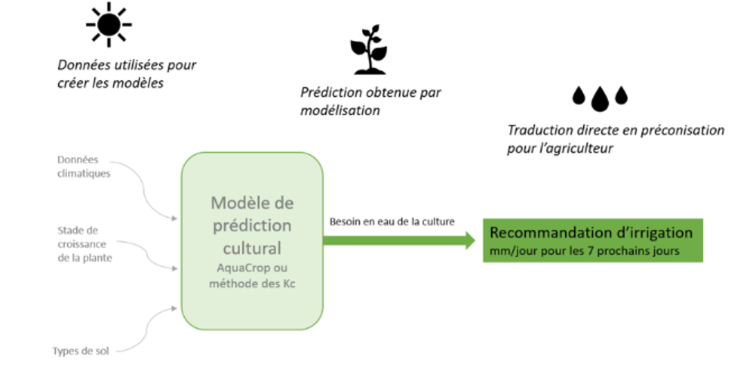 Sans titre.png